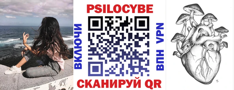 Псилоцибиновые грибы Cubensis  купить закладку  Мышкин 